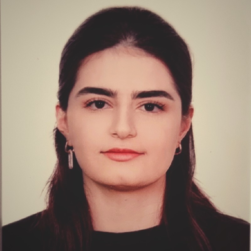 Aya Al-Ogaidi